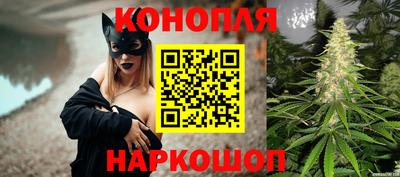прущие грибы Кунгур