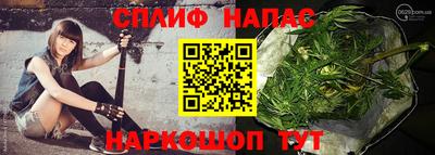 прущие грибы Кунгур
