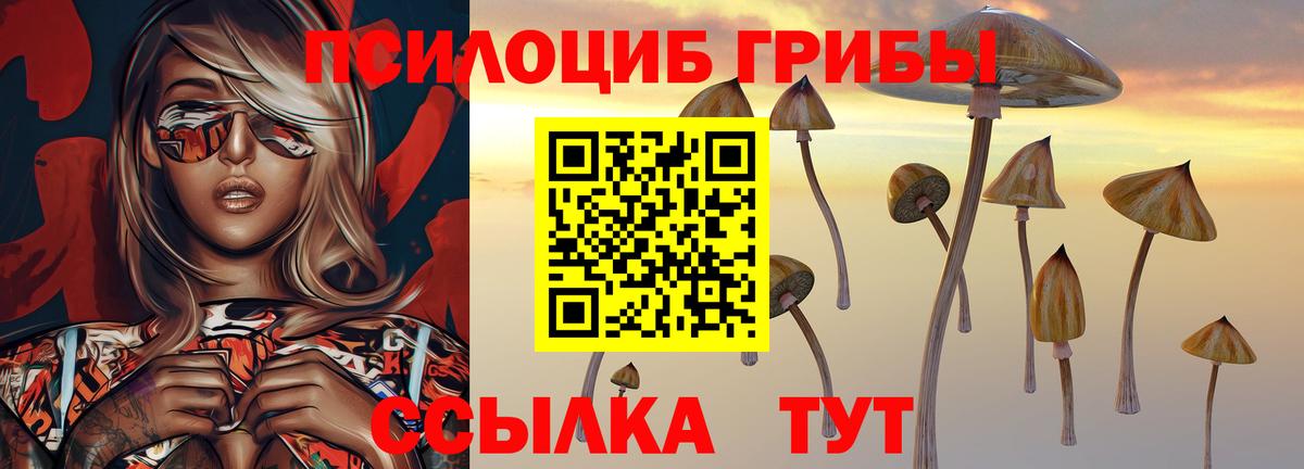 Зеленокумск  Галлюциногенные грибы GOLDEN TEACHER  Вход с VPN 